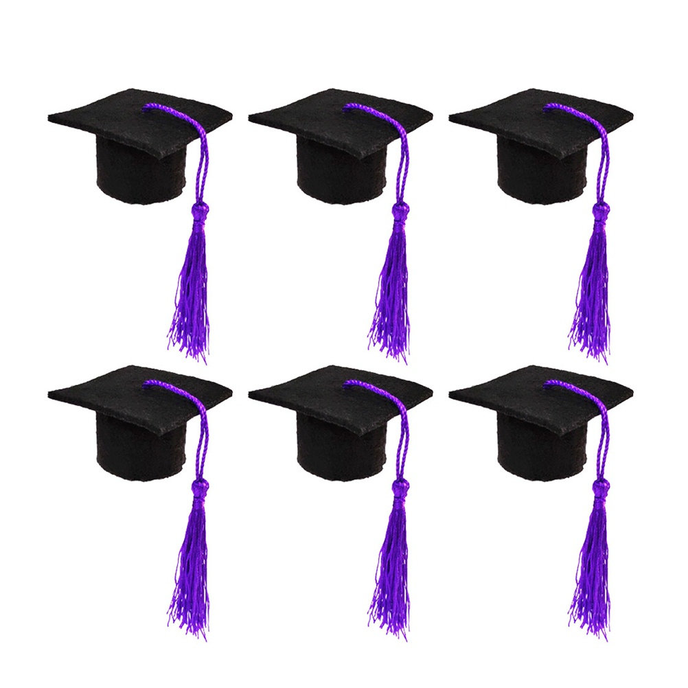 Wine Beer Hat - 6 stuks Doctoral Cover Mini Doctoral
