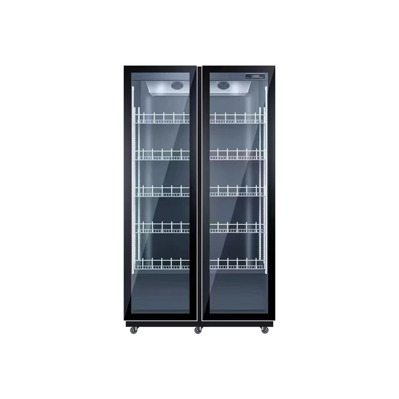Dubbele deur luchtkoeling koel - Wine Beer Dual Zone recensie en prijs
